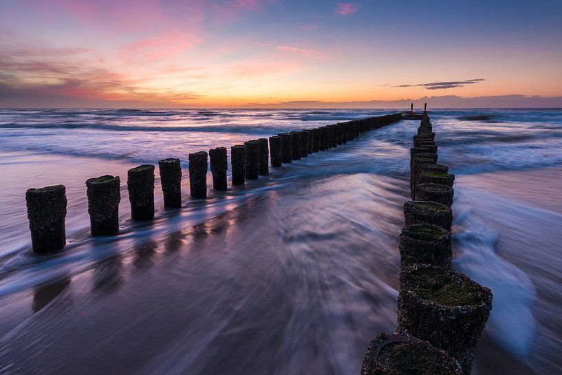 Polehead by Gijs Koole