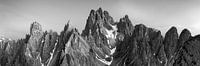 Panorama Dolomiten Schwarz-Weiß von Vincent Fennis Miniaturansicht