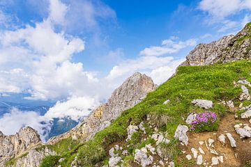 Uitzicht op het Karwendelgebergte bij Mittenwald