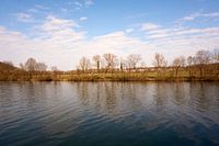 Neckar rivier in zon en onder blauwe hemel met gras en bomen
