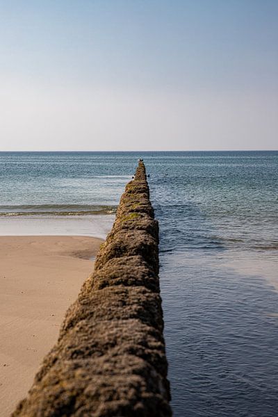 Buhne am Strand bei Kampen von Alexander Wolff