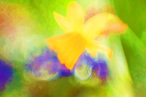 Narcisse