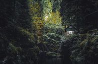 The cottage on the Kamenice Gorge by Dennis Donders thumbnail