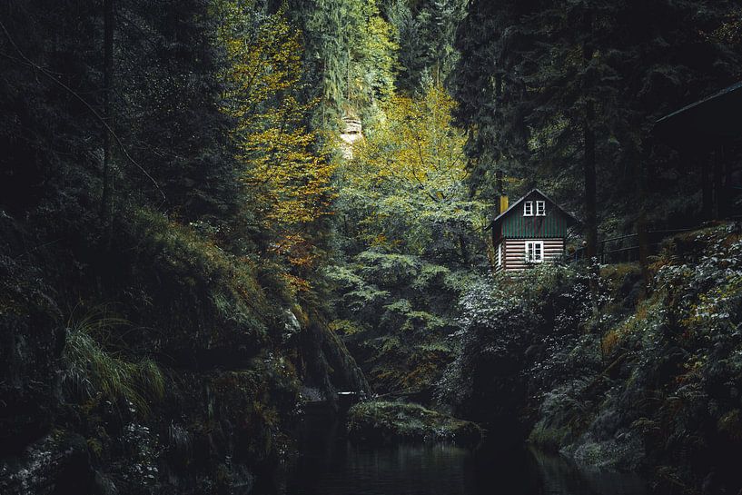 The cottage on the Kamenice Gorge by Dennis Donders