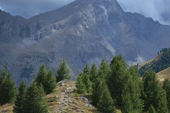 La route de l'aventure