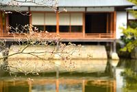 Teehaus im japanischen Garten