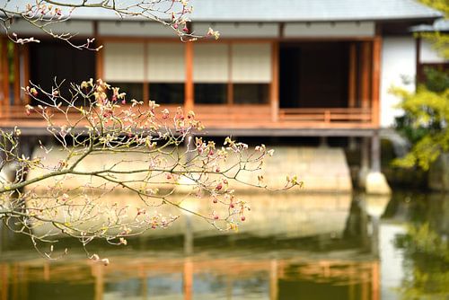 Theehuis in Japanse tuin
