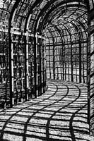 Lignes d'ombre