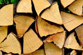 Bois de chauffage pour l'hiver sur Heiko Kueverling