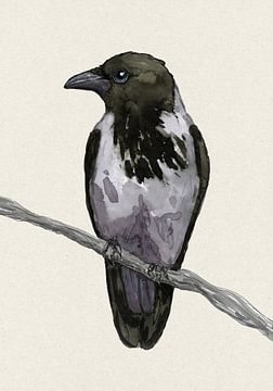 Hooded crow watercolour
