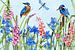 Island Vögel Wildblumen von Geertje Burgers