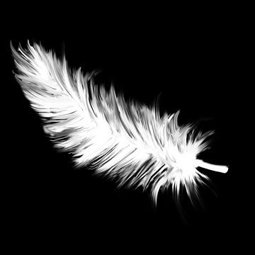 Dessin noir et blanc en plumes de duvet sur Emiel de Lange