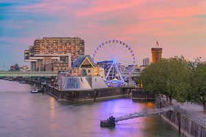 Grande roue à Cologne