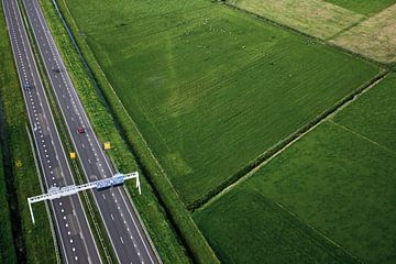 ROAD by Sybrand Treffers