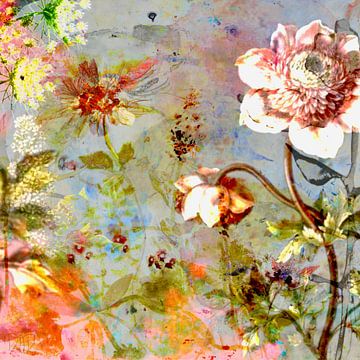 WILD ROSE van RAR Kramer