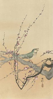 Ohara Koson - Zangvogel en pruimenbloesem (bewerkt)