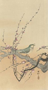 Ohara Koson - Singvogel und Pflaumenblüte (bearbeitet) von Peter Balan