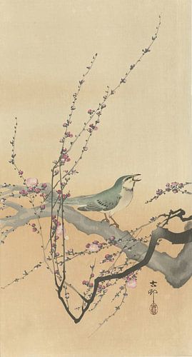 Ohara Koson - Songbird and plum blossom (edited)