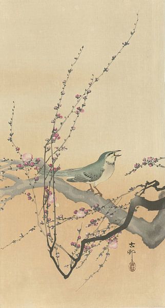 Ohara Koson - Zangvogel en pruimenbloesem (bewerkt) van Peter Balan