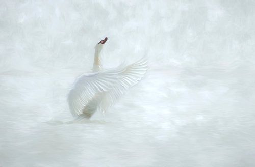 Dancing swan