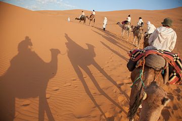 Een kamelentocht door de Sahara in Merzouga, Marokko