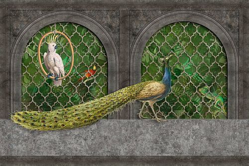 Peacock In The Tropical Palace by Andrea Haase