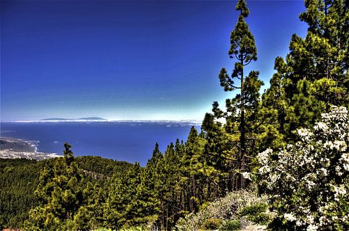 Natuur op TENERIFE    prachtige wildgroei  in helder blauwe lucht LA  PALMA aan de horizon