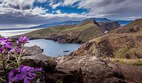 Madeira's beautiful landscape