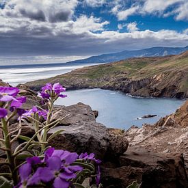 Het mooie landschap van Madeira van Wim Westmaas