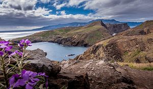 Het mooie landschap van Madeira van Wim Westmaas