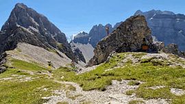 Ludens in natura van Heubeere-Cartoons