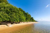 Oostzeestrand in Zweden