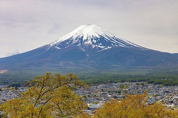 Mount Fuji - Japan (Tokio) van Marcel Kerdijk