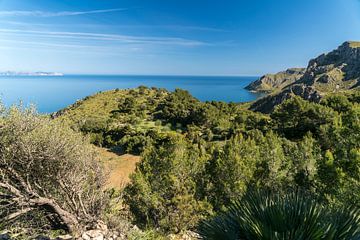 Massiv von Arta, Mallorca von Peter Schickert