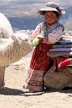 Girl with alpaca by Gert-Jan Siesling