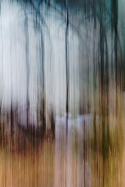 Abstrakter Wald von Guna Andersone