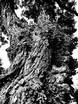 Tree Magic 88 von MoArt (Maurice Heuts)