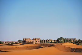 An oasis amongst the sand dunes by Rita Fuchs