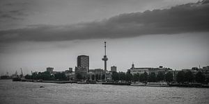 Rotterdam Skyline