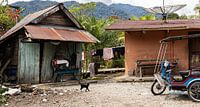 A Tuesday morning in Sumatra Indonesia
