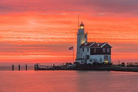 Horse of Marken by Jeroen de Jongh Photography