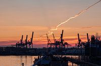 waalhaven rotterdamkraniche kraniche ect sonnenuntergang sonnenuntergang sonnenuntergang sonnenunter