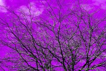 De natuur in een paarse kleur van Jolanda de Jong-Jansen