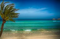 romantisch e azuren zee met palmboom van Rita Phessas thumbnail