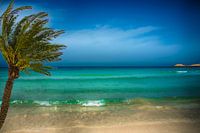 romantisch e azuren zee met palmboom