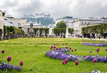 Salzburg - Uitzicht van Mirabell tuinen naar Hohensalzburg vesting van t.ART