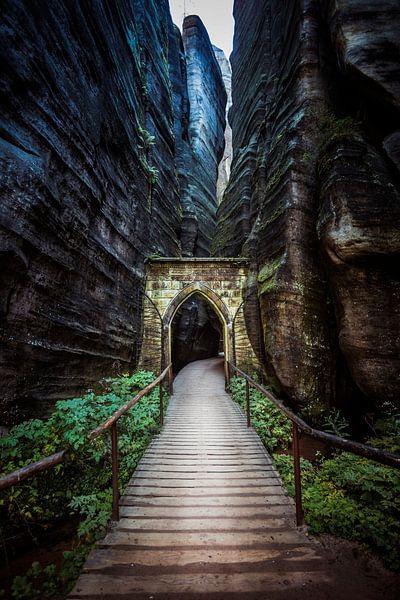 Ein geheimnisvolles Tor von Cynthia Hasenbos