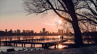 Lage zon over een bevroren Kralingse Plas