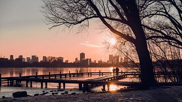 Tiefstehende Sonne über einem gefrorenen Kralingse Plas von Jelte Lagendijk