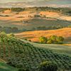 Paysage toscan en Italie avec une belle maison de campagne / ferme sur Voss Fine Art Fotografie